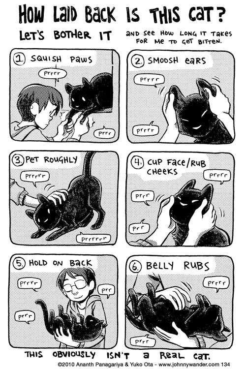 purr cat only wants to hang out 134 - further cat adventures
