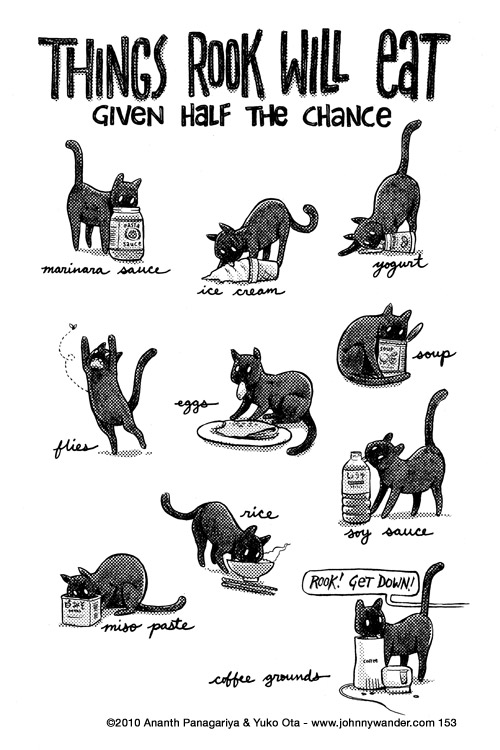 do not let your cat have coffee 153 - that damned cat