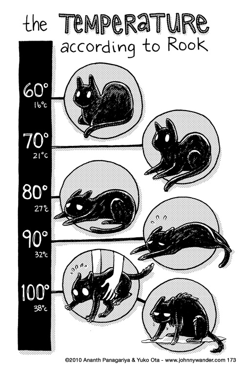 now he is evaporative cooling cat 173 - thermometer cat