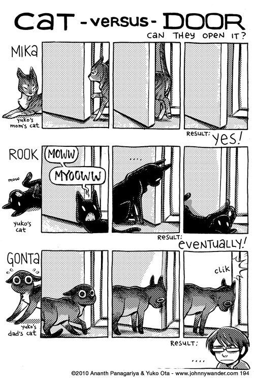first, rook tries to get someone to open the door for him 194 - the most cleverest of cats