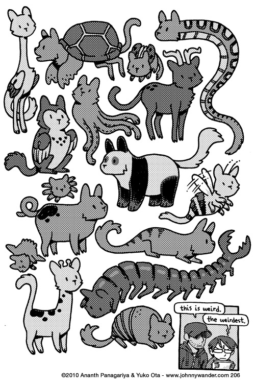 not sure how this happened 206 - cat-meras