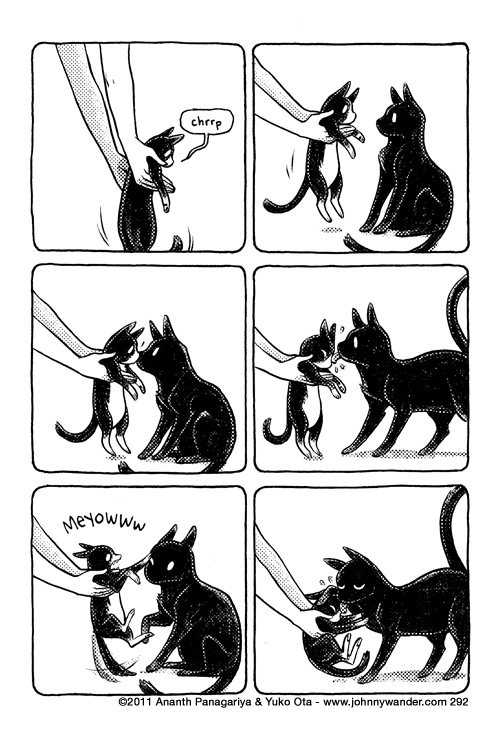 you're embarrassing me in front of my friends, jeez 292 - stoppit, cat-dad