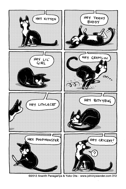 I don't get it, why doesn't Cricket know her name 312 - kitten of a hundred names
