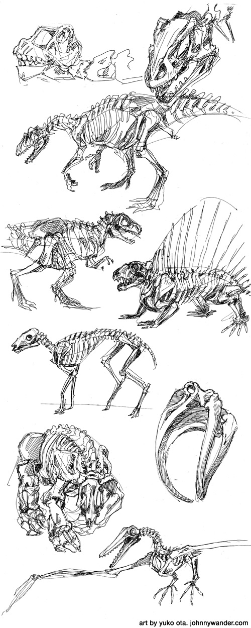 also some prehistoric mammals and a blue whale dinosaur gesture drawings forever