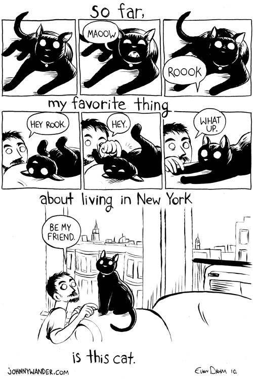 evan chose the title guest comic - this cat, this england