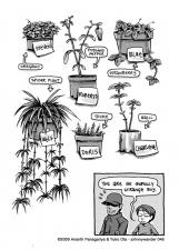 046 - he named the houseplants