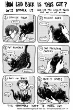 134 - further cat adventures