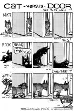 194 - the most cleverest of cats