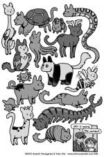 206 - cat-meras