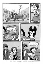 270 - the ballad of laundry cat