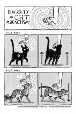 354 - diversity in cat magnetism