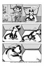 366 - depth perception kitten